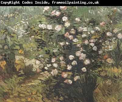 Vincent Van Gogh Rosebush in Blossom (nn04)